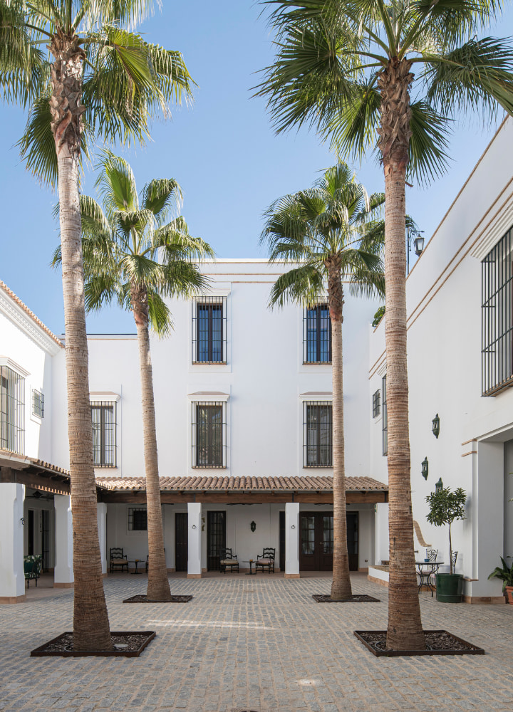 hotel la malvasía patio